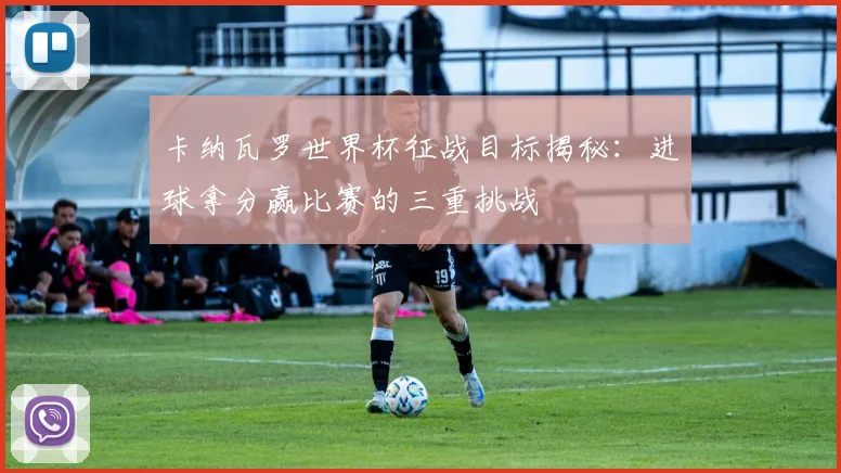 卡纳瓦罗世界杯征战目标揭秘：进球拿分赢比赛的三重挑战